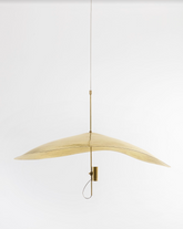 Float Suspension